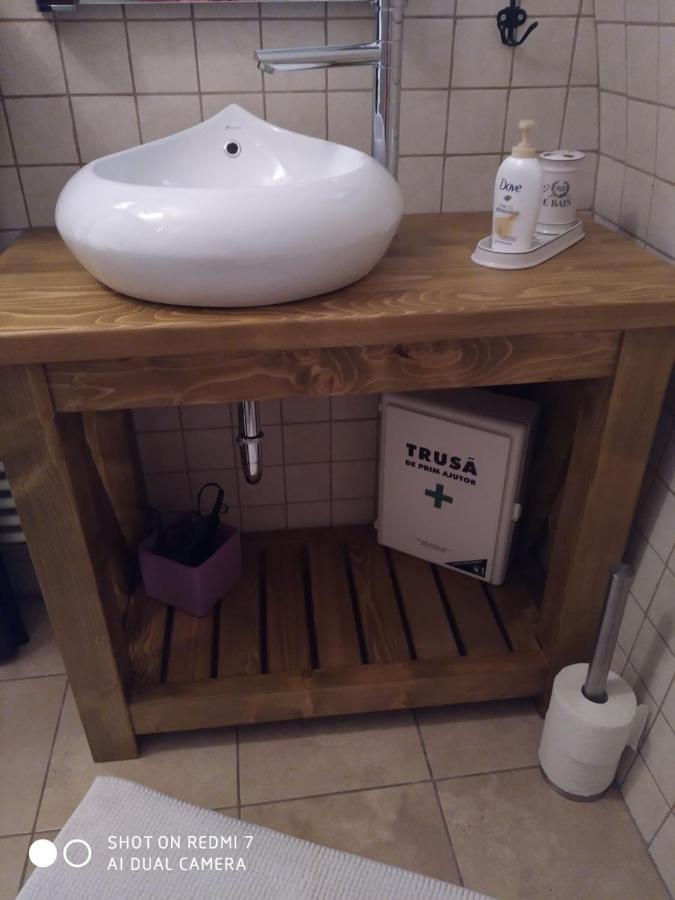 Casa Schobeln Apartment Brasov Ngoại thất bức ảnh